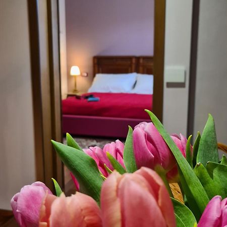Zi Bitta - Guest House 帕尔马诺瓦 外观 照片